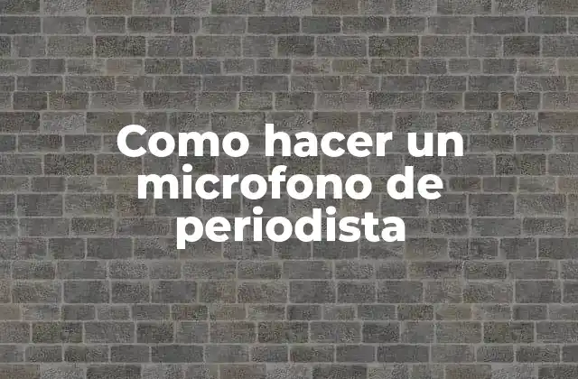 Como Hacer un Microfono de Periodista