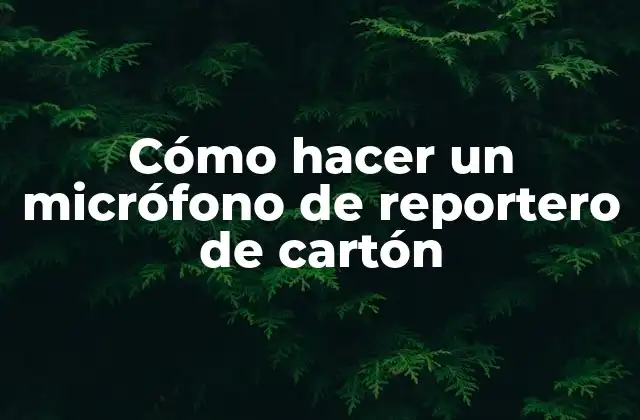 Cómo Hacer un Micrófono de Reportero de Cartón