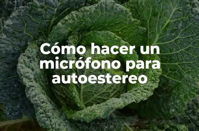 Cómo Hacer un Micrófono para Autoestereo