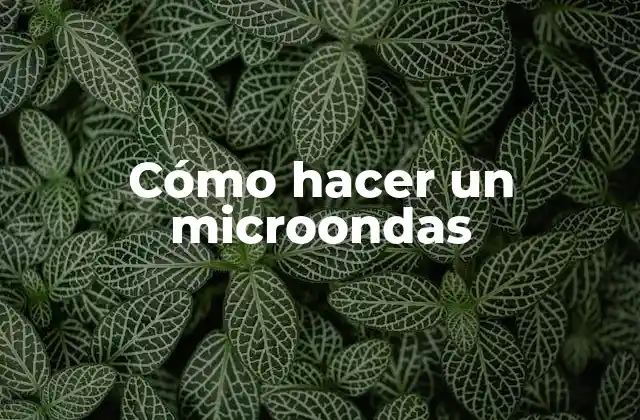 Cómo Hacer un Microondas