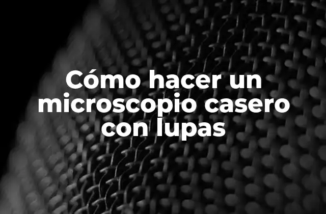 Cómo Hacer un Microscopio Casero con Lupas