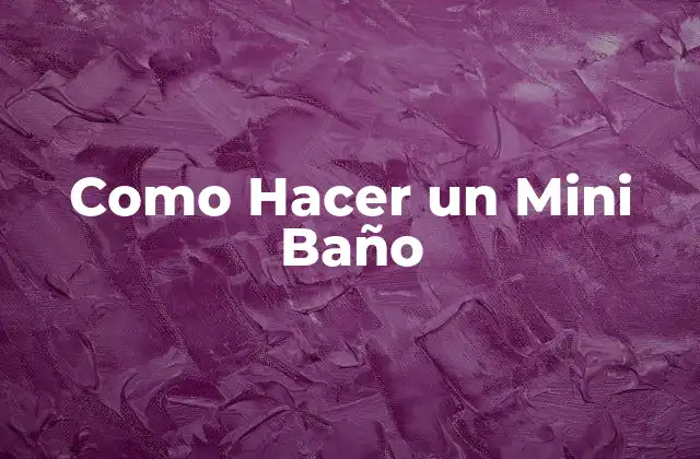 Como Hacer un Mini Baño