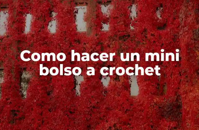 Como Hacer un Mini Bolso a Crochet