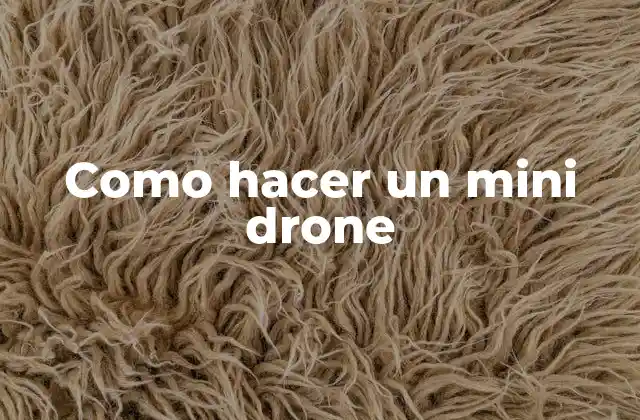 Como Hacer un Mini Drone