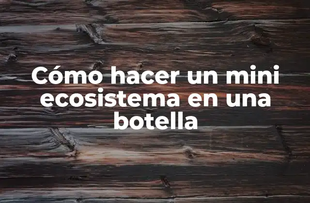 Cómo Hacer un Mini Ecosistema en una Botella