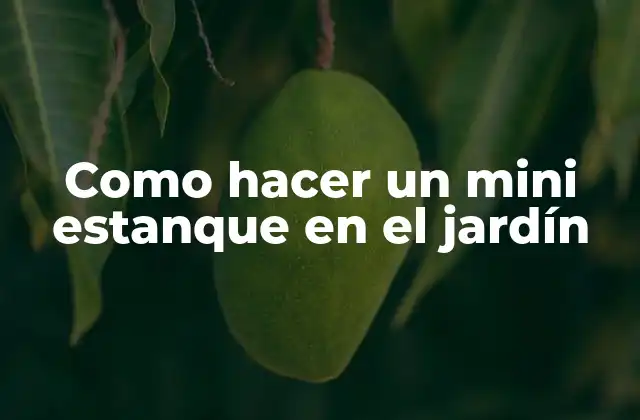 Como Hacer un Mini Estanque en el Jardín