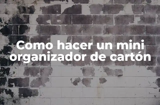 Como Hacer un Mini Organizador de Cartón