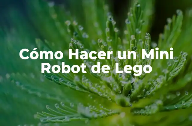 Cómo Hacer un Mini Robot de Lego 2 ¿Qué es un Mini Robot de Lego?