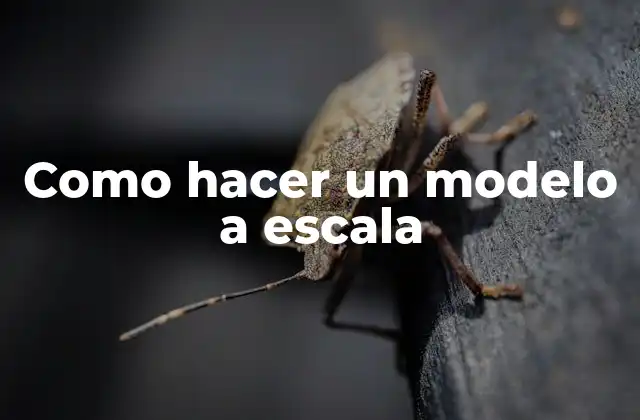 Como Hacer un Modelo a Escala