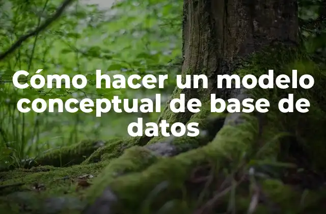 Cómo hacer un modelo conceptual de base de datos