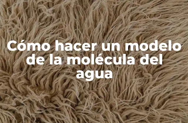 Cómo Hacer un Modelo de la Molécula Del Agua