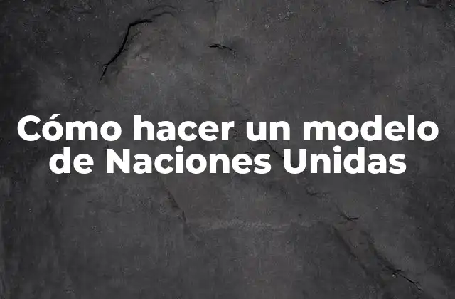 Cómo hacer un modelo de Naciones Unidas: Concepto y definición