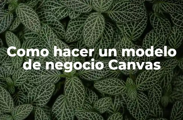 Como Hacer un Modelo de Negocio Canvas
