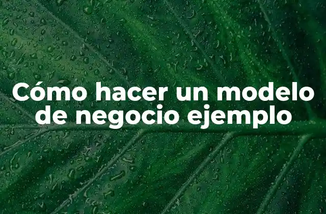 Cómo Hacer un Modelo de Negocio Ejemplo