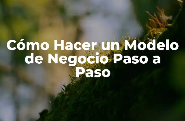 ¿Qué es un Modelo de Negocio?