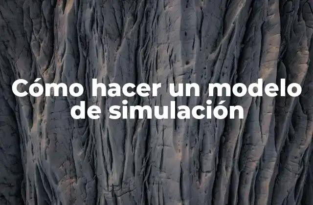 Cómo Hacer un Modelo de Simulación