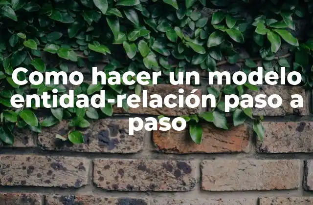 Como Hacer un Modelo Entidad-relación Paso a Paso