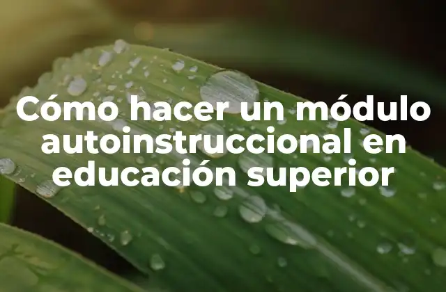 ¿Qué es un módulo autoinstruccional en educación superior?