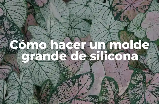 Cómo Hacer un Molde Grande de Silicona