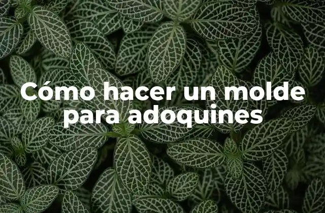 Cómo Hacer un Molde para Adoquines
