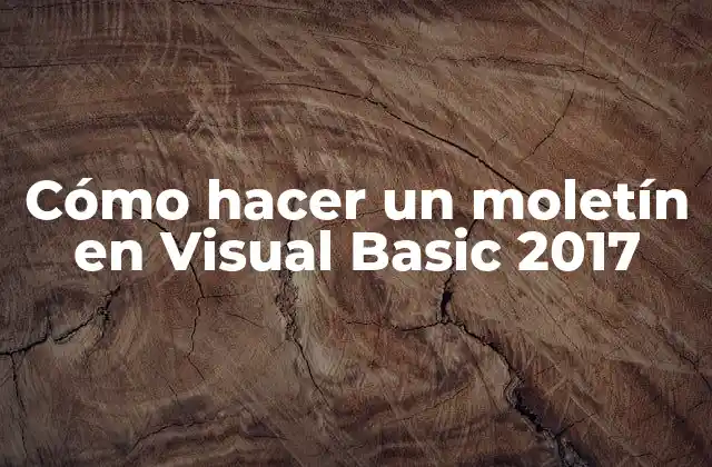Cómo Hacer un Moletín en Visual Basic 2017