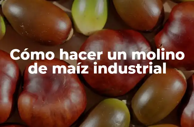 Cómo Hacer un Molino de Maíz Industrial