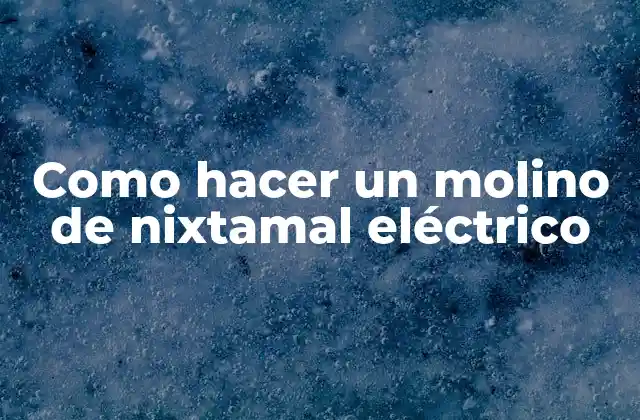 Como Hacer un Molino de Nixtamal Eléctrico