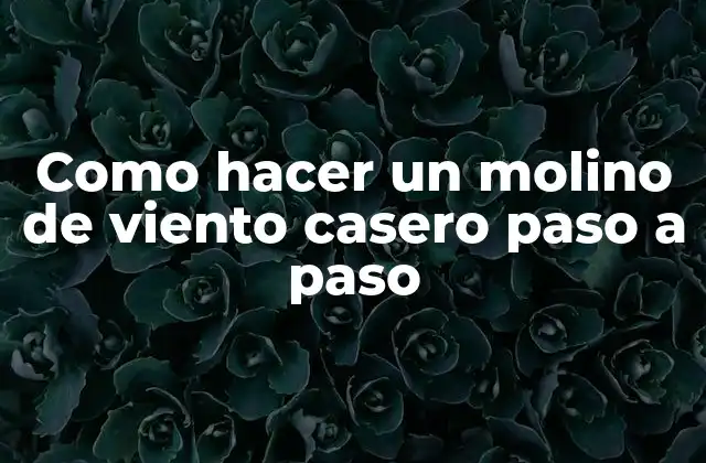 Como Hacer un Molino de Viento Casero Paso a Paso