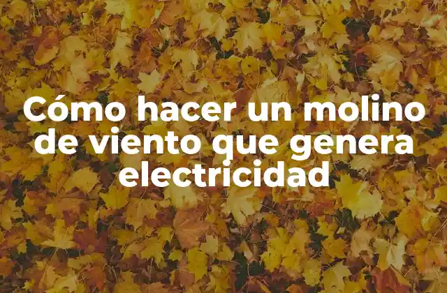 Cómo Hacer un Molino de Viento que Genera Electricidad