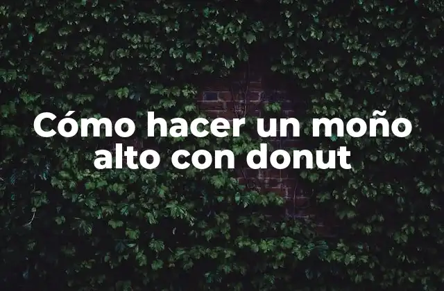 Cómo Hacer un Moño Alto con Donut 2 Cómo hacer un moño alto con donut