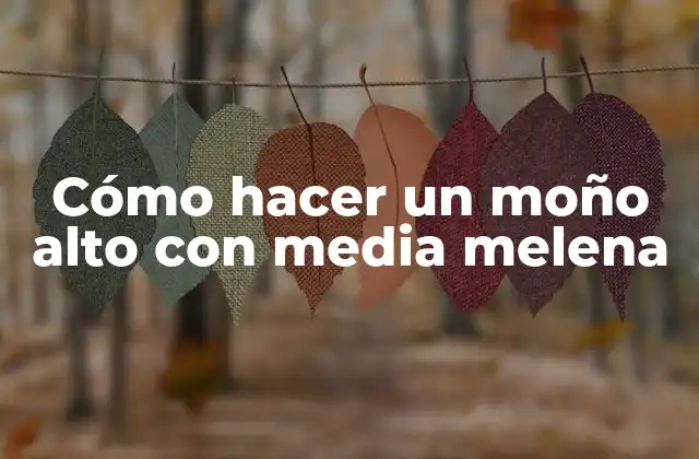 Cómo Hacer un Moño Alto con Media Melena
