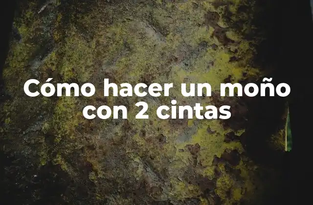 Cómo Hacer un Moño con 2 Cintas