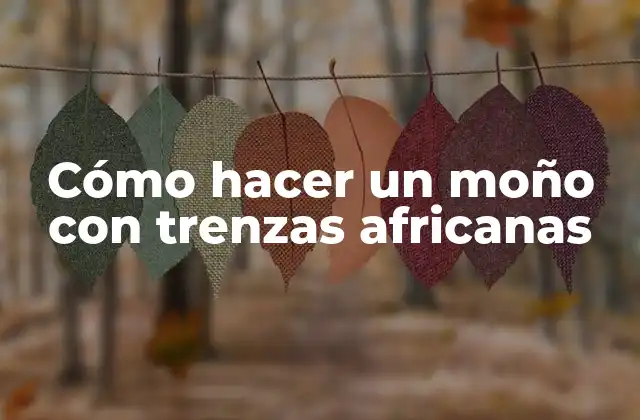 Cómo Hacer un Moño con Trenzas Africanas