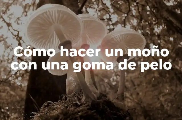 Cómo Hacer un Moño con una Goma de Pelo