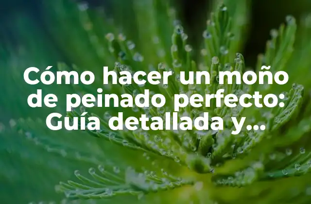 Cómo Hacer un Moño de Peinado Perfecto: Guía Detallada y Completa