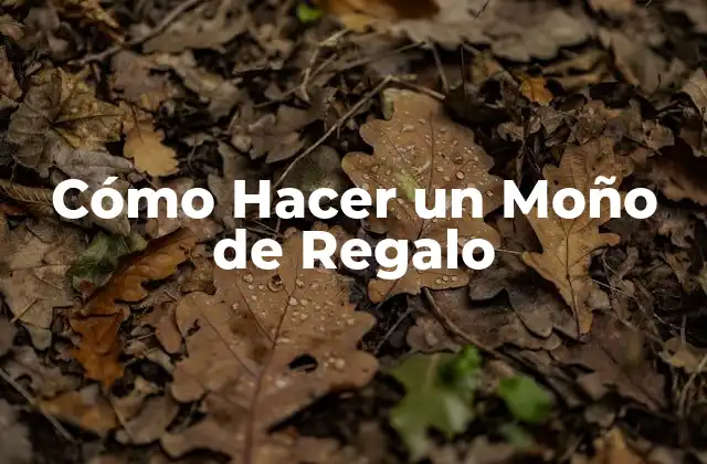 ¿Qué es un Moño de Regalo y para Qué Sirve?