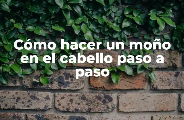Cómo Hacer un Moño en el Cabello Paso a Paso 2 Cómo hacer un moño en el cabello paso a paso