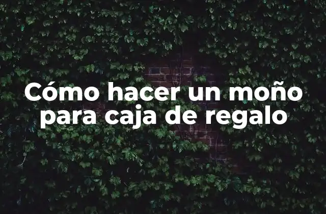 Cómo Hacer un Moño para Caja de Regalo