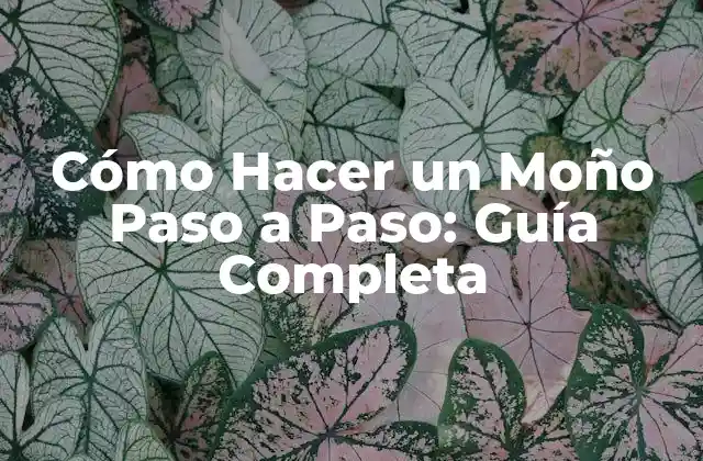 ¿Qué Tipo de Moño Quieres Hacer?