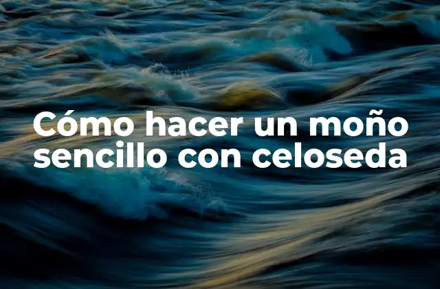 Cómo Hacer un Moño Sencillo con Celoseda 2 ¿Qué es un moño sencillo con celoseda y para qué sirve?