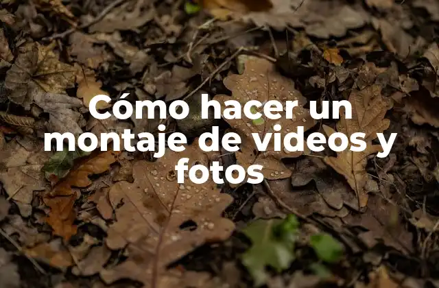 Cómo Hacer un Montaje de Videos y Fotos