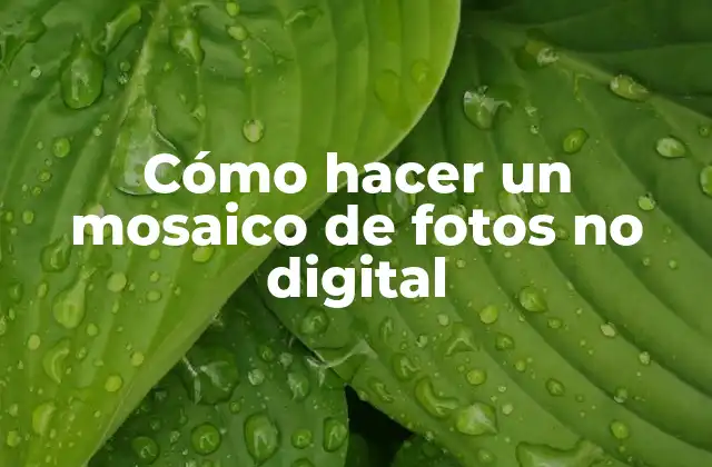 Cómo Hacer un Mosaico de Fotos No Digital
