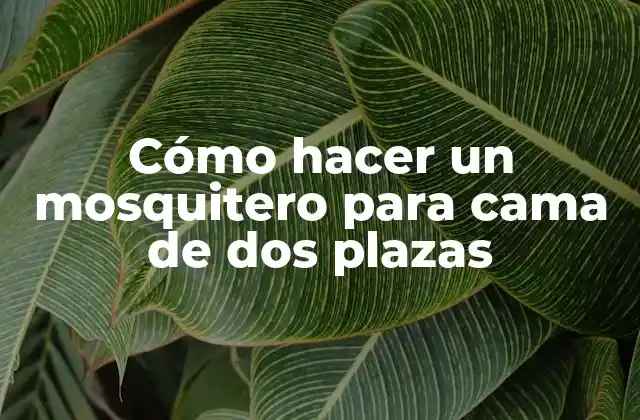 Cómo Hacer un Mosquitero para Cama de Dos Plazas 2 Cómo hacer un mosquitero para cama de dos plazas