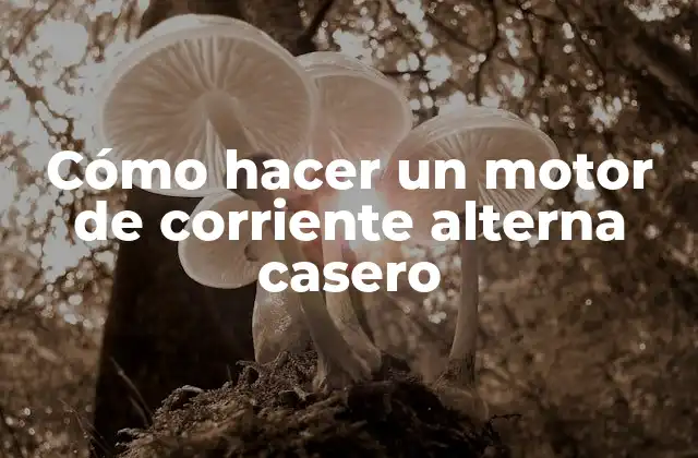 Cómo Hacer un Motor de Corriente Alterna Casero
