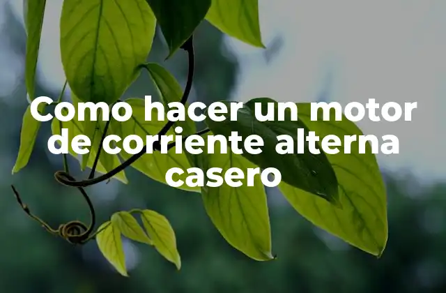 Como Hacer un Motor de Corriente Alterna Casero