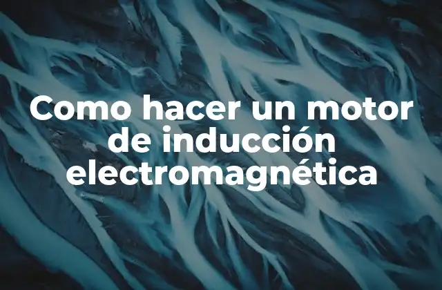 Como Hacer un Motor de Inducción Electromagnética 2 Motor de inducción electromagnética