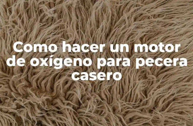 Como Hacer un Motor de Oxígeno para Pecera Casero