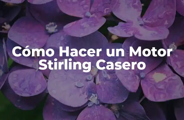 Cómo Hacer un Motor Stirling Casero