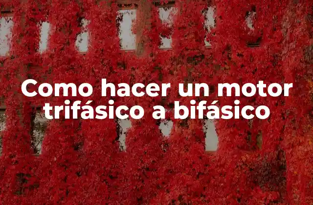 Como Hacer un Motor Trifásico a Bifásico