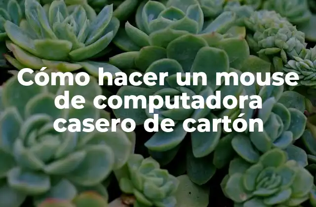 Cómo Hacer un Mouse de Computadora Casero de Cartón
